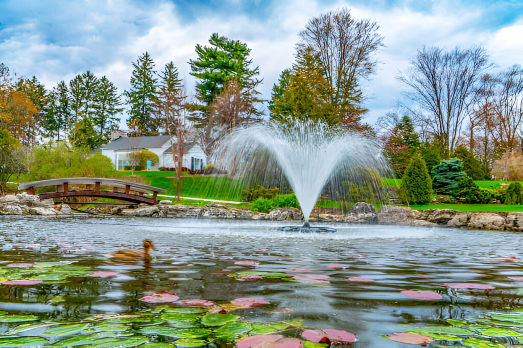 Pond Care