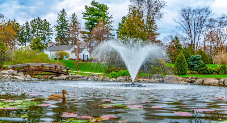Pond Care