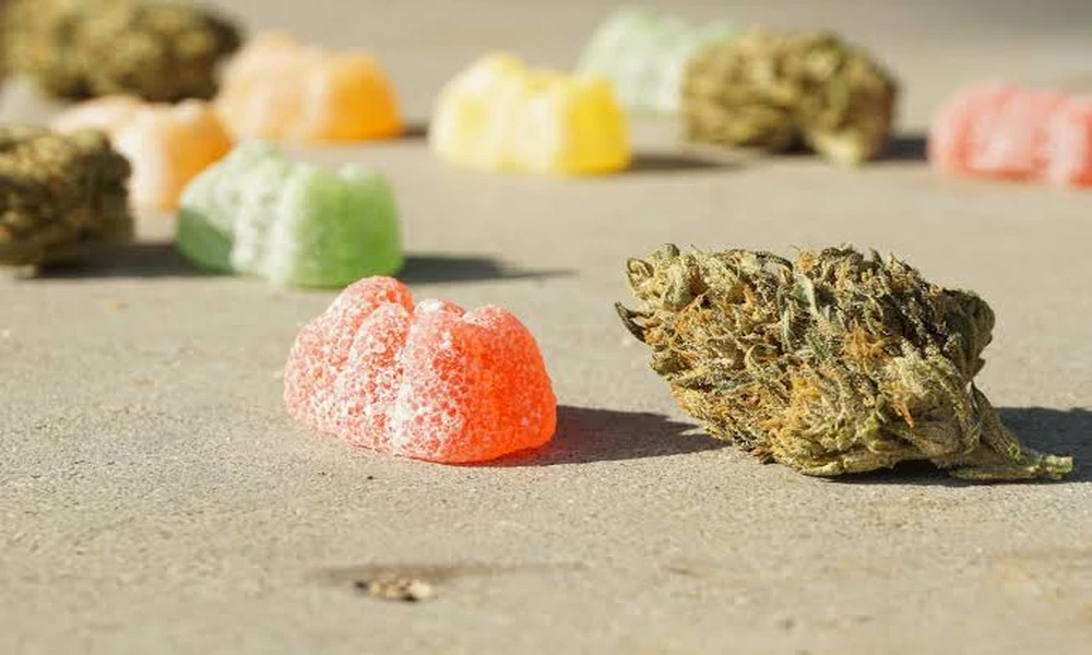 Delta 9 Gummies for Beginners: What to Expect on Your First Try